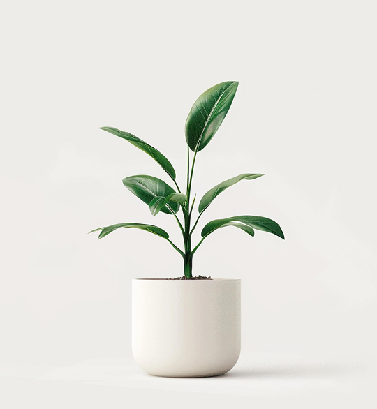 product 04